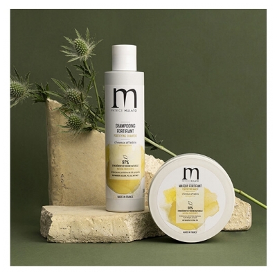 Patrice Mulato Shampooing Fortifiant Cheveux Affaiblis Argila Mulato 200ml