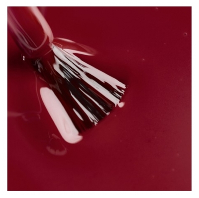 Le Mini Macaron Kit Vernis Semi-permanent Cassis