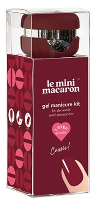 Le Mini Macaron Blackcurrant Semi-Permanent Nail Polish Kit