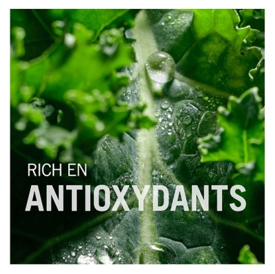 Schwarzkopf Sérum Apaisant BC Scalp Schwarzkopf Pro 100ml