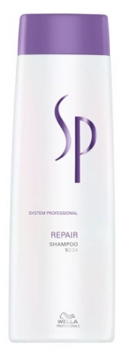 SP Reparación Bain