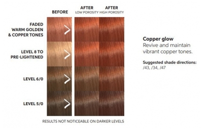 Wella Color Fresh Masque Copper Glow