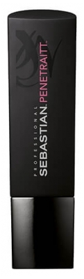 Sebastian Shampoo Penetraitt