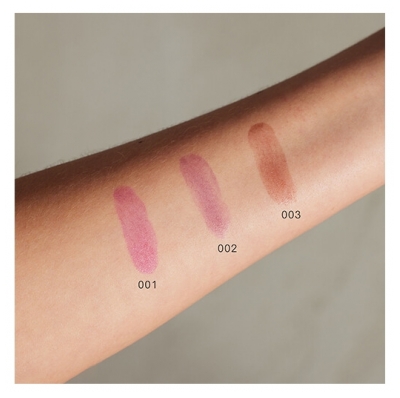 Gosh Copenhagen Encre à Lèvres Lip Stain 003 Dark Chocolate Gosh