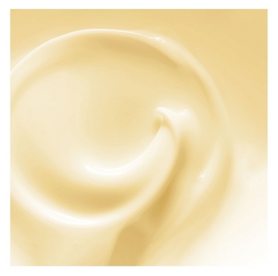 Revlon Masque Lumière Argan Orofluido Revlon 500ml