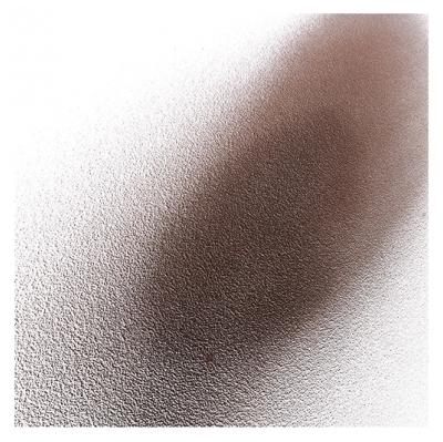 EVO Shampooing Sec Water Killer Brunette