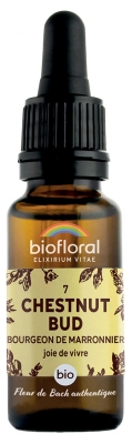 Biofloral Fleurs de Bach 07 Chestnut Bud Bio 20 ml
