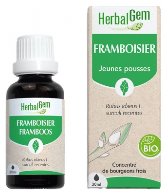 HerbalGem Bio Himbeerstrauch 30 ml