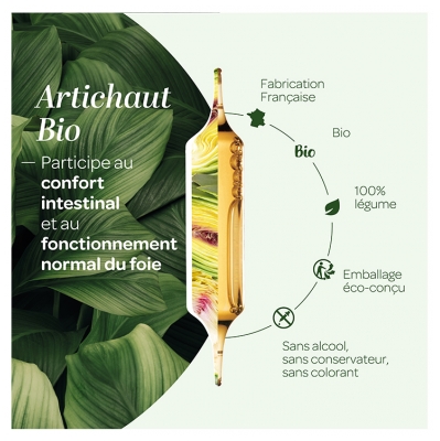 Superdiet Artichaut Bio 20 Ampoules