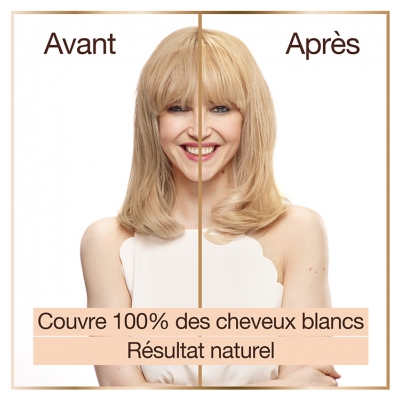 Garnier Good Coloration Permanente Sans Ammoniaque 160 ml - Coloration : 10.14 Blond Très Clair Camomille