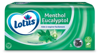 Lotus Menthol Eukalyptol Packung mit 72 Taschentüchern