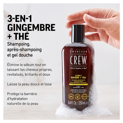 American Crew 3-En-1 GingembreThé, Shampooing, Après Shampooing & Gel Douche pour Cheveux et Corps (250ml), Revitalisant et hydratant.