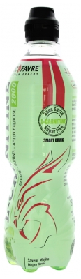 Eric Favre Boisson L-Carnitine 500 ml - Goût : Mojito