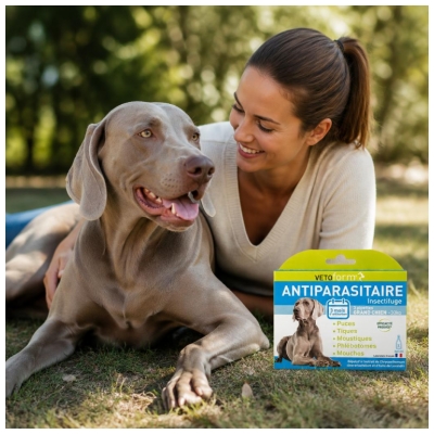 Vetoform Antiparasitair Insectwerend Middel voor Grote Honden 3 Pipetten