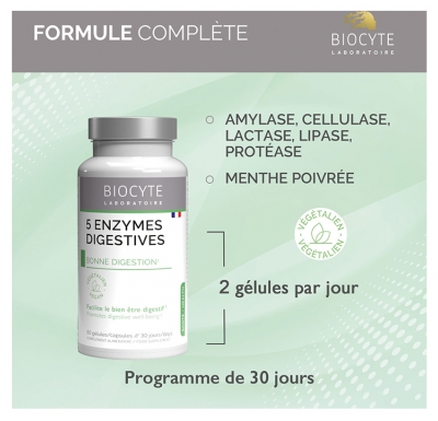 Biocyte 5 Enzymes Digestives 60 Gélules