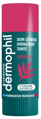 Dermophil Indien Soin Teinté Protection Lèvres 4 g - Teinte : Prunelle