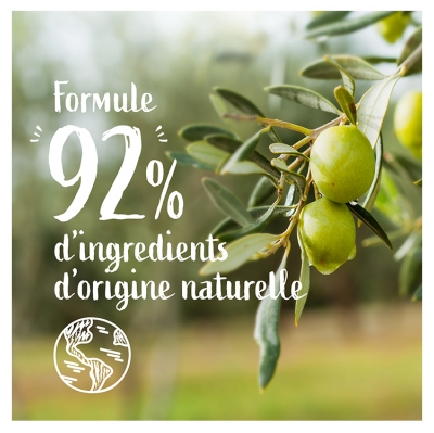 Le Petit Marseillais Gel Lavant Mains Pur Savon & Huile d'Olive Éco-Recharge 500 ml