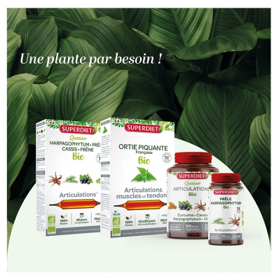 Superdiet Quatuor Articulations Bio 20 Ampoules