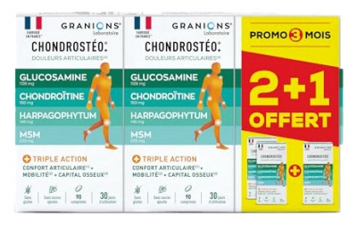 Granions Chondrostéo+ Articulações Lote de 3 x 90 Comprimidos