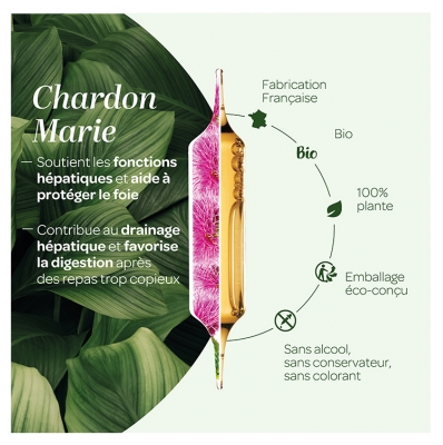 Superdiet Chardon Marie Protection du Foie Bio 20 Ampoules