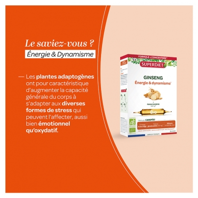 Superdiet Ginseng Énergie & Dynamisme Bio 20 Ampoules