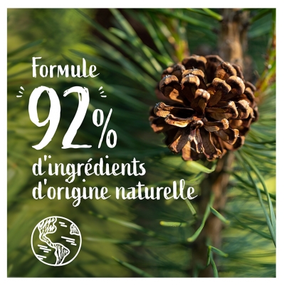 Le Petit Marseillais Gel Douche Rafraîchissant 4en1 Pin Maritime & Eucalyptus Éco-Recharge 500 ml