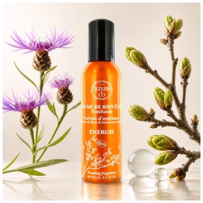 Elixirs & Co Elixiere & Co Belebender Wellness-Energie Nebel 100 ml