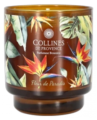 Collines de Provence Candela Profumata Alle Piante Fresche 220 g - Profumo: Fiore di paradiso