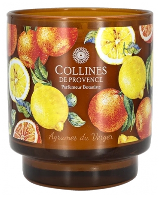 Collines de Provence Candela Profumata Alle Piante Fresche 220 g