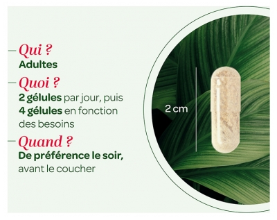 Superdiet Griffonia 185 mg de 5-HTP 40 Gélules