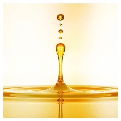Evlon Professional Aceite de Argán Elixir 30 ml