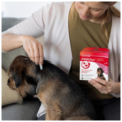 Beaphar Fiprotec 67 mg Solution Spot-On Petit Chien 2 à 10 kg 4 Pipettes