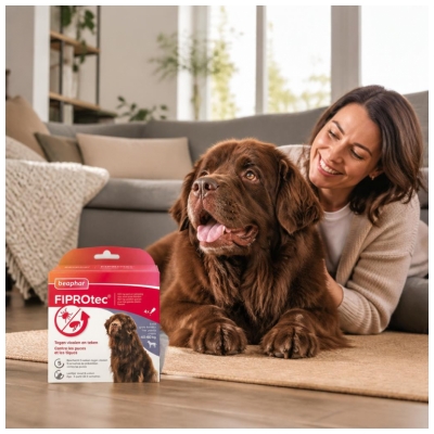 Beaphar Fiprotec 402 mg Solutie Spot-On Caine Foarte Mare 40 la 60 kg 4 Pipete