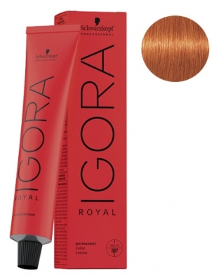 Schwarzkopf Permanente Haarfarbe Igora Royal 1-0 Naturschwarz - Haarfärbung: 8-77 Hellblond Kupfer Extra