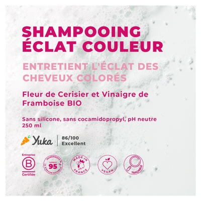 Energie Fruit Shampoing Éclat Couleur 250 ml