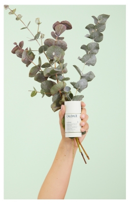 Caudalie Vinofresh Luonnollinen 24H Deodoranttikkua 50 g