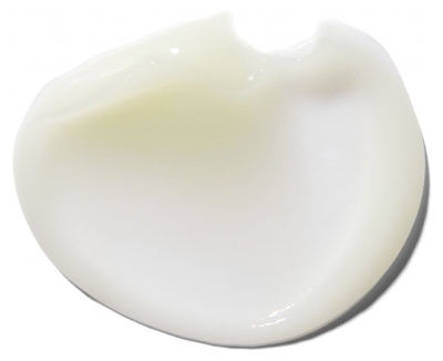 Erborian Bambú Crema Batida 50 ml