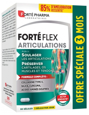 Forte Pharma Articulaciones Flex 90 Cápsulas