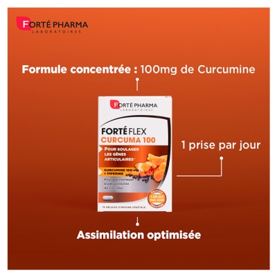 Forté Pharma Forte Flex Articulations 90 Gélules