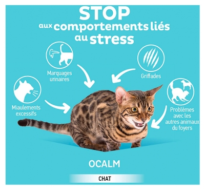 Clément Thékan Ôcalm Solution Calmante pour Chat à Diffuser Recharge 48 ml