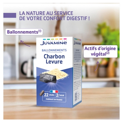 Juvamine Charbon Levure 45 Gélules