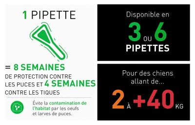 Frontline Combo Câine XL (+ de 40 kg) 6 Pipete