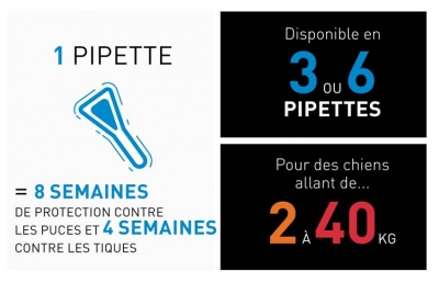 Frontline Spot-On Chien M (10-20 kg) 6 Pipettes