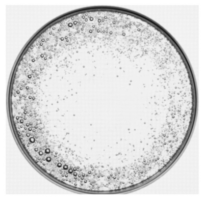 Vichy Dercos Shampoing Traitant Antipelliculaire Sensitive 200 ml