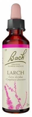 Fleurs de Bach Original Larch 20ml