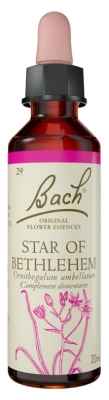 Florais de Bach Original Star of Bethlehem 20 ml