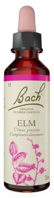 Izvirne Bachove cvetne esence Elm 20 ml