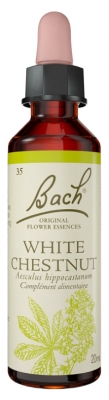 Oriģinālās Baha ziedu esences White Chestnut 20 ml