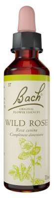 Original Bachova cvetna esenca Wild Rose 20 ml