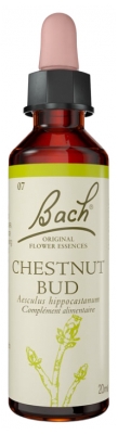 Florile de Bach Original Chestnut Bud 20 ml